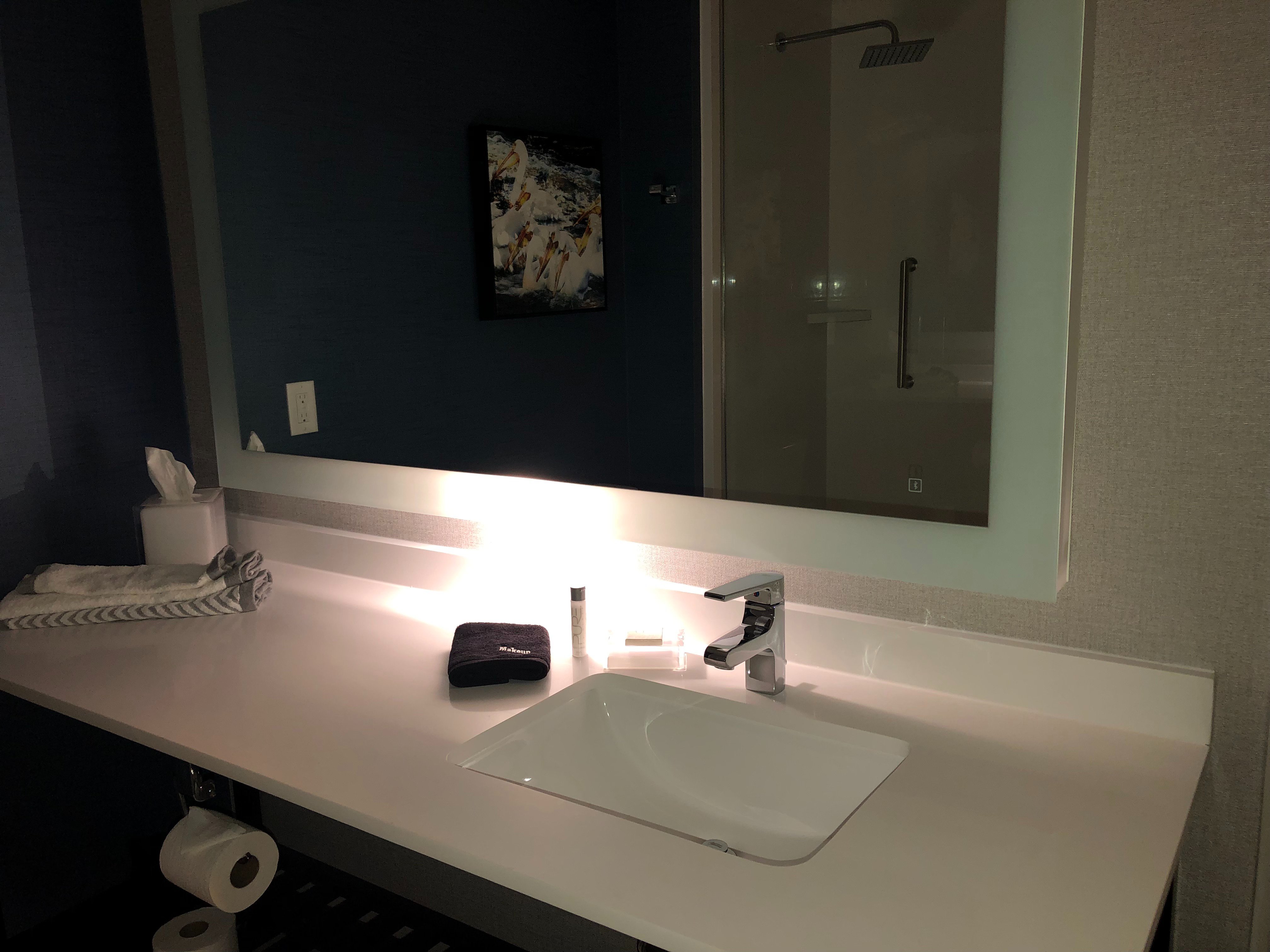 Cambria Hotel Davenport Quad Cities-浴室