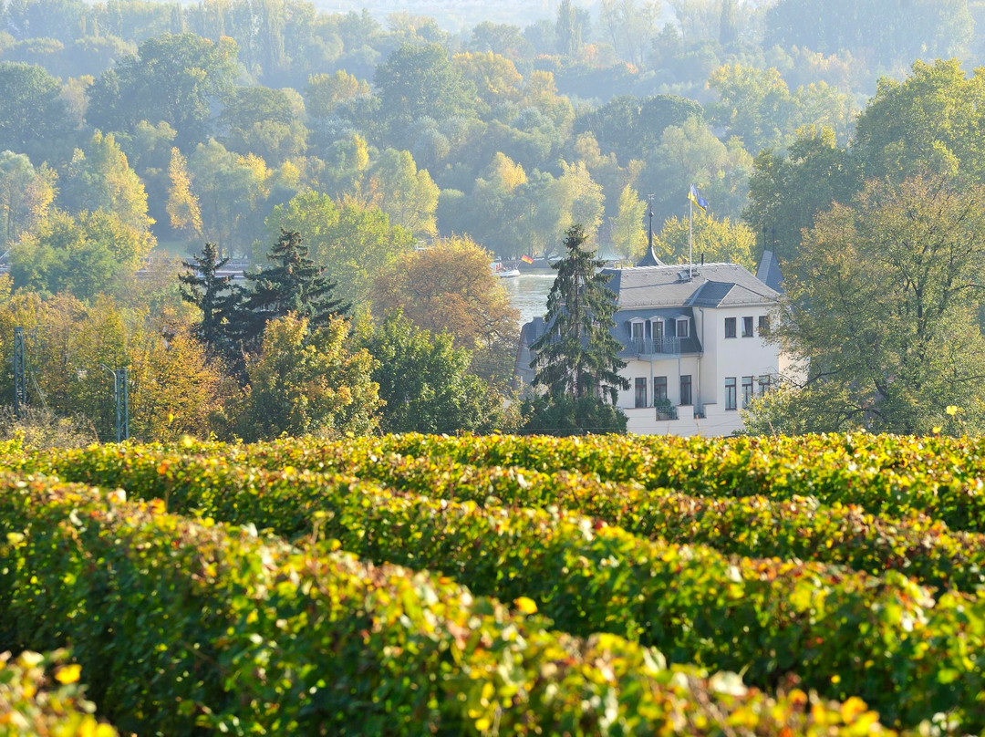 Weingut Georg Müller Stiftung-Hattenheim必去景点