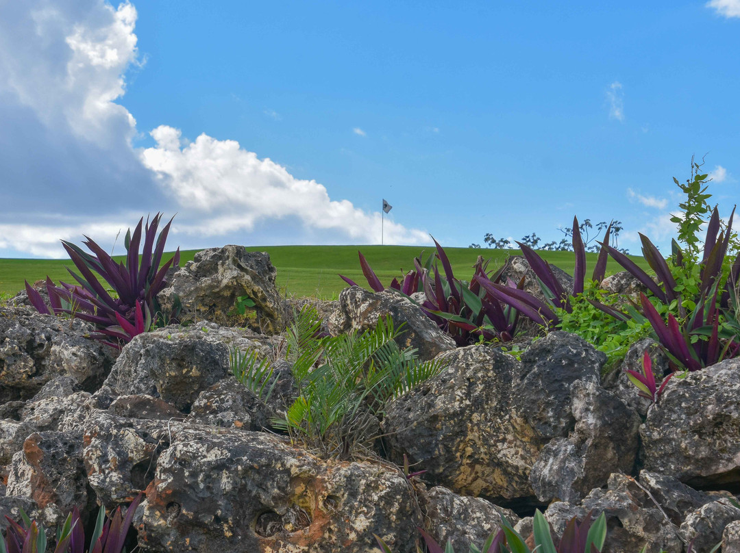 Dye Fore-拉罗马纳必去景点