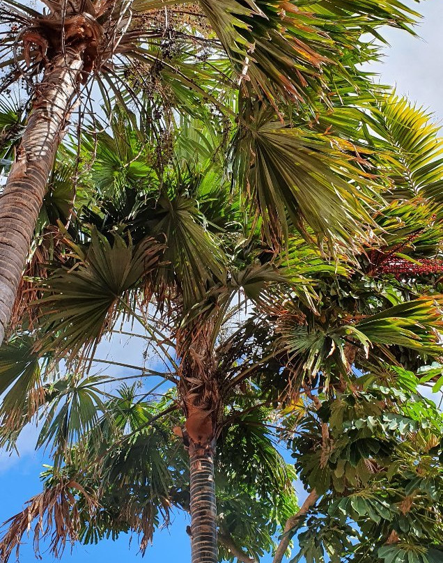 Pousada Aconchego主图