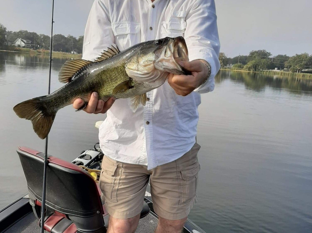 Memory Makin' Guides-Frostproof必去景点