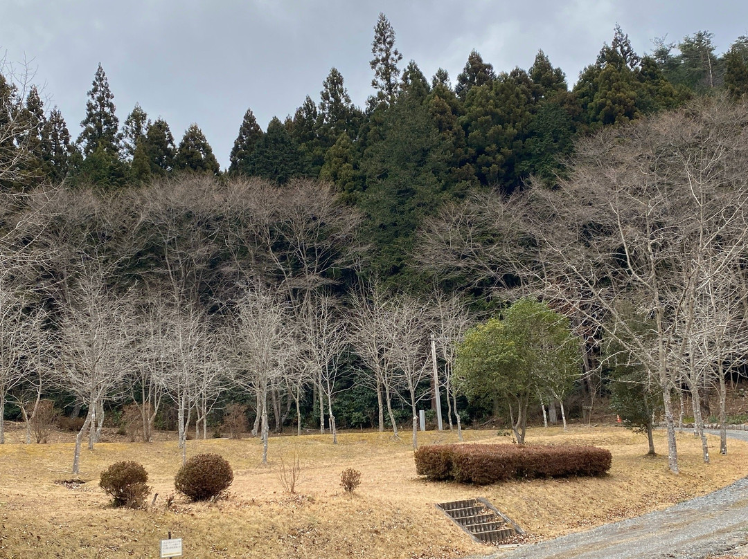 Hananuki Furusato Nature Park景点图片