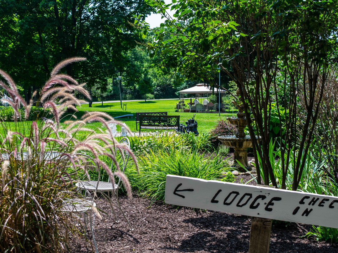 Lazy Cloud Lodge Bed and Breakfast主图