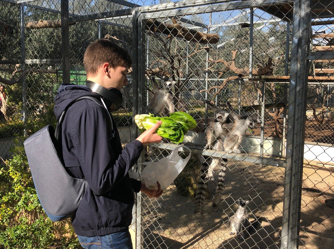 Melios Zoo-尼科西亚必去景点