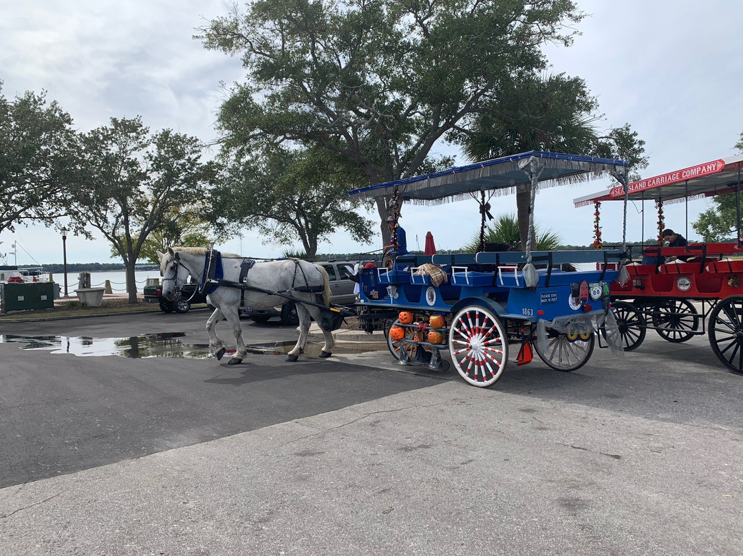 Southurn Rose Buggy Tours-博福特必去景点