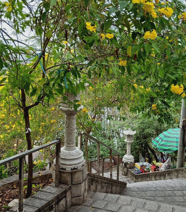 Hang Pagoda (Chua Hang)-朱笃必去景点