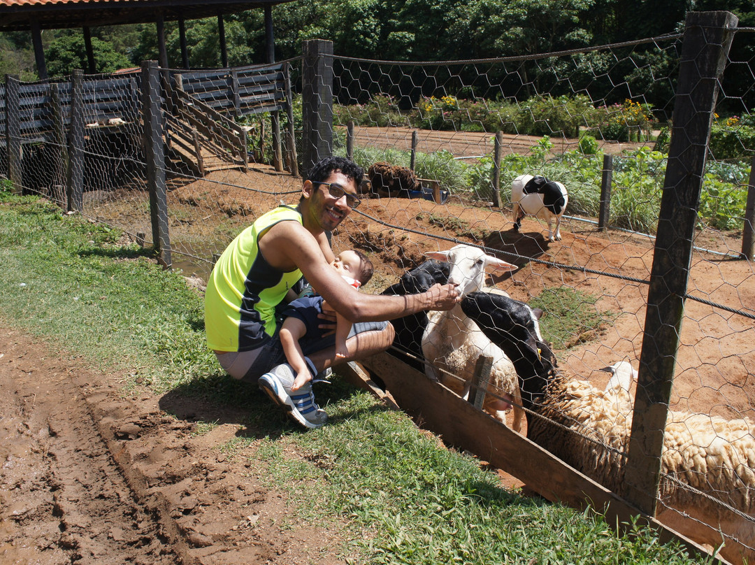 Hotel Fazenda Parque dos Sonhos主图