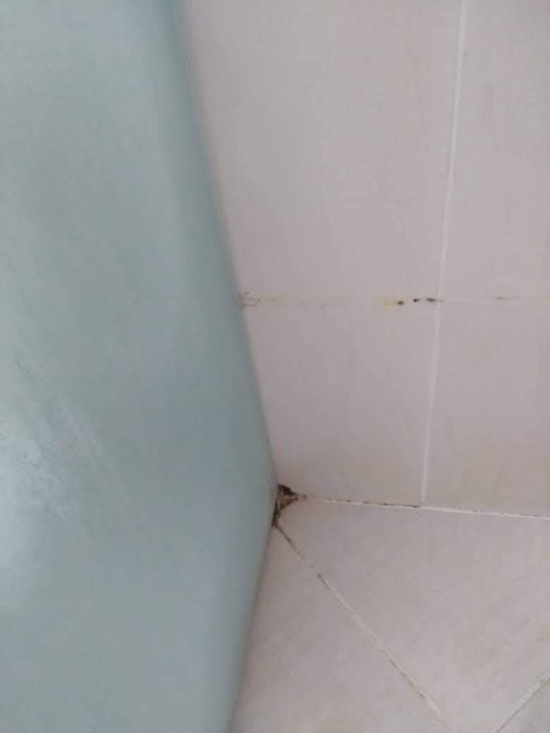 Barrudada Tropical Hotel-官方