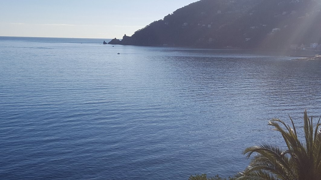 La Pointe de l'Aiguille-特乌尔须梅必去景点