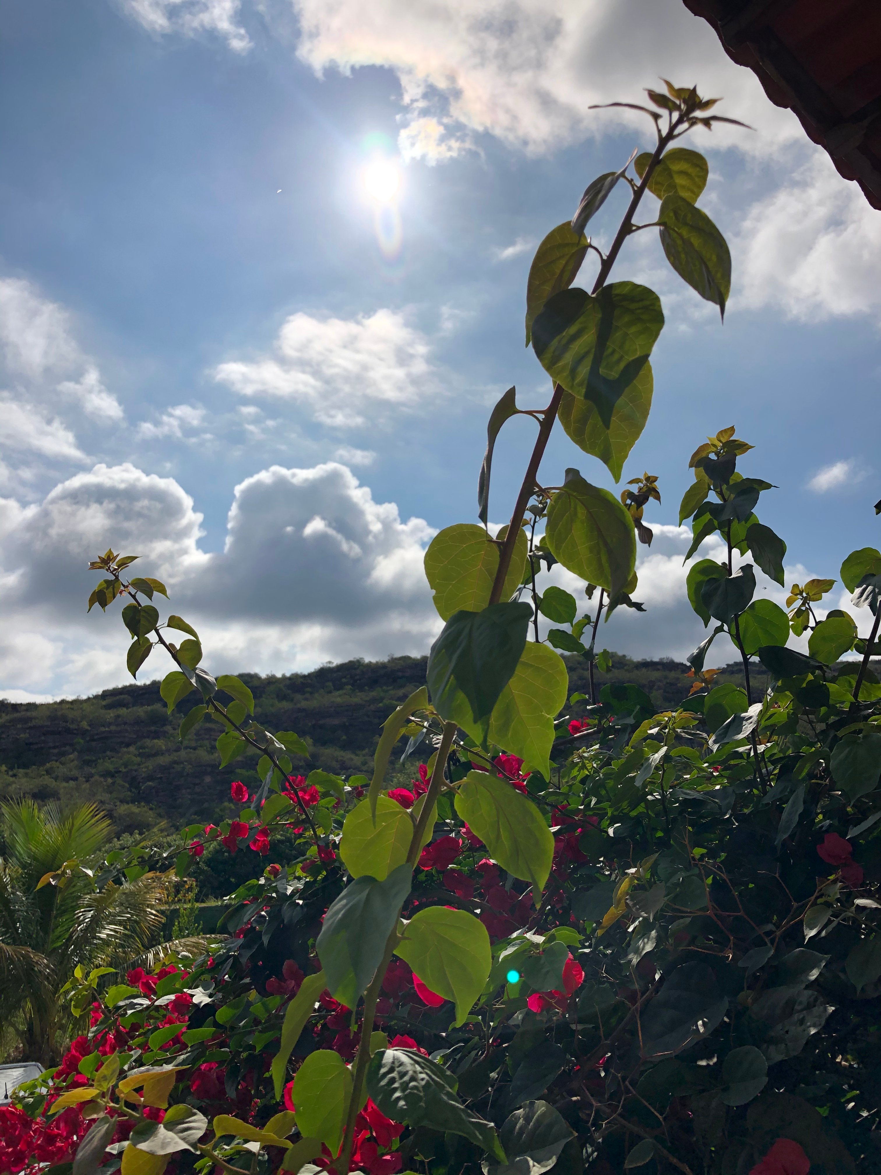 Pousada Primavera-官方