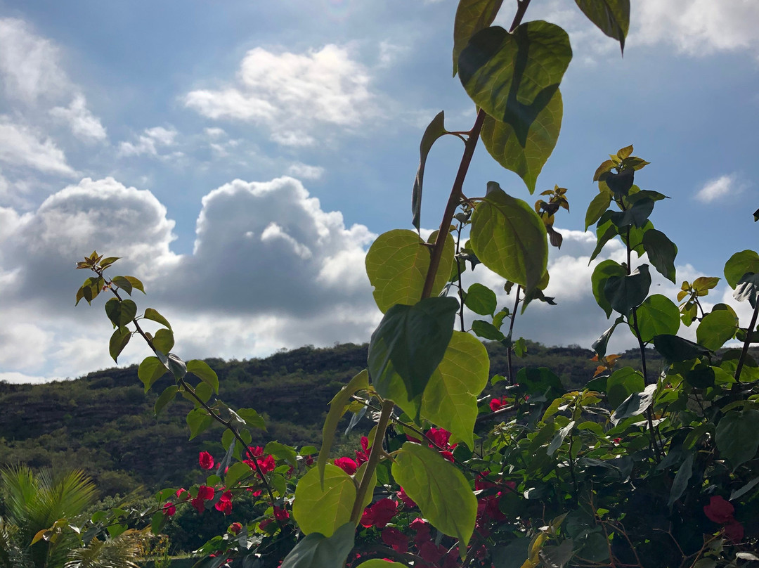 Pousada Primavera主图