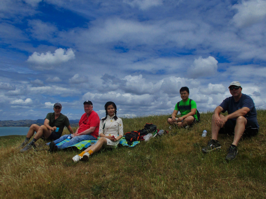 Wild Adventures New Zealand - Auckland Hiking Tours-奥克兰必去景点