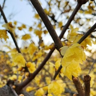 Tadao Park-町田市必去景点