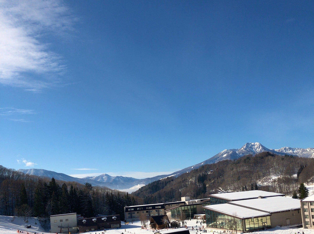 Tangram Ski Circus-信浓町 必去景点