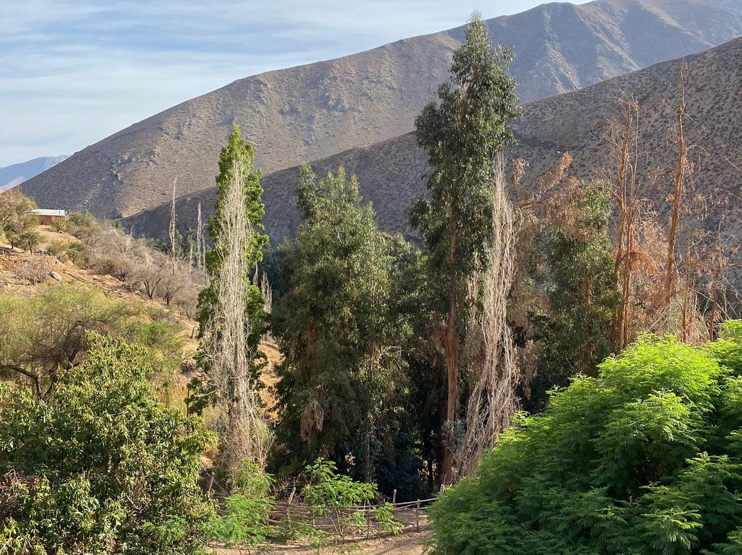 Hotel Restaurant Casona Distante主图