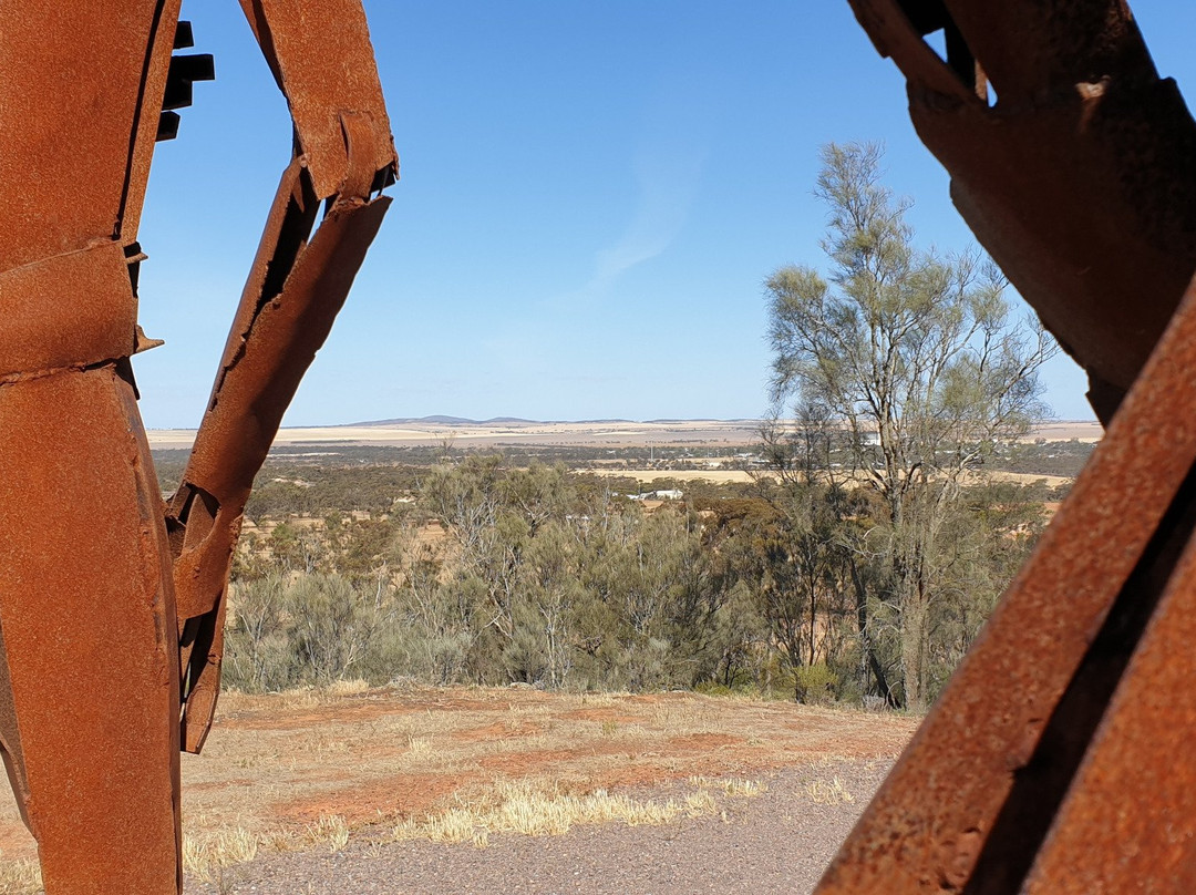 Whites Knob Lookout景点图片