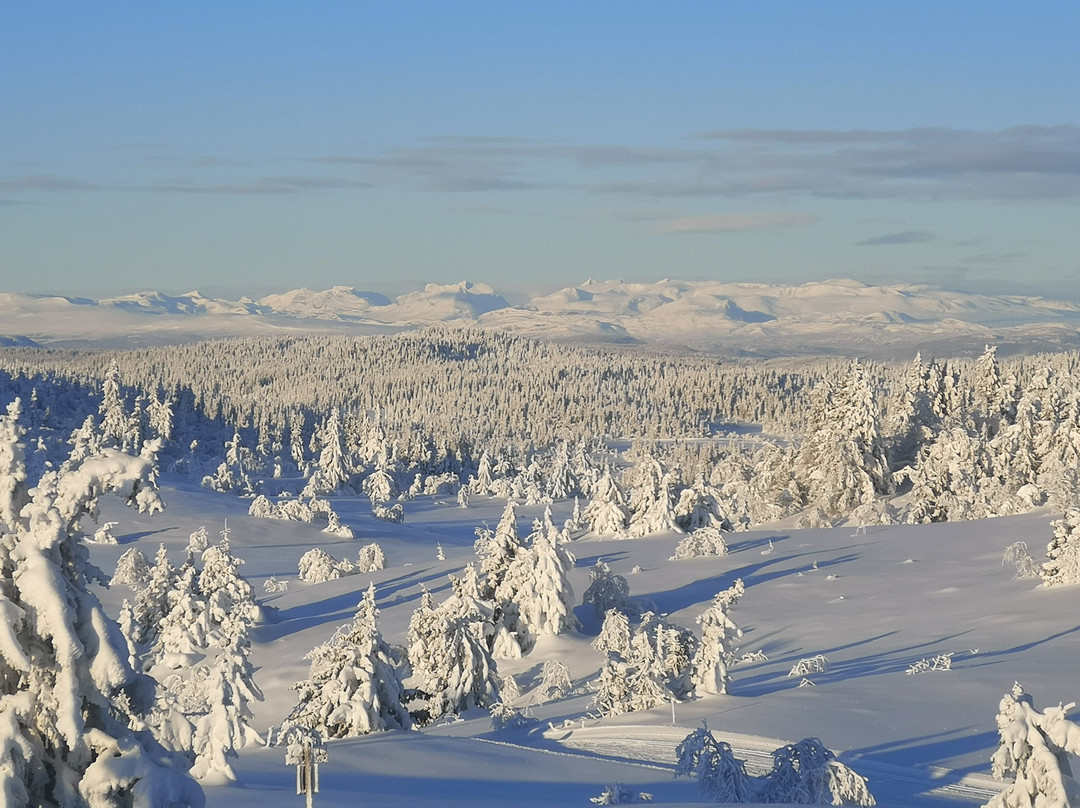 Stavadalen Ski Center景点图片