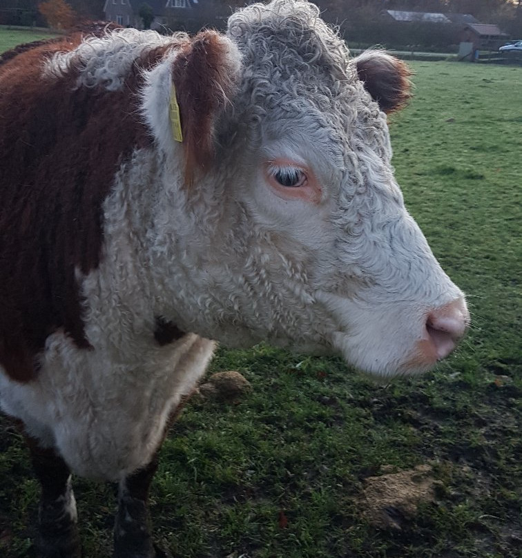 Hotel en B&B Erve Bruggert主图