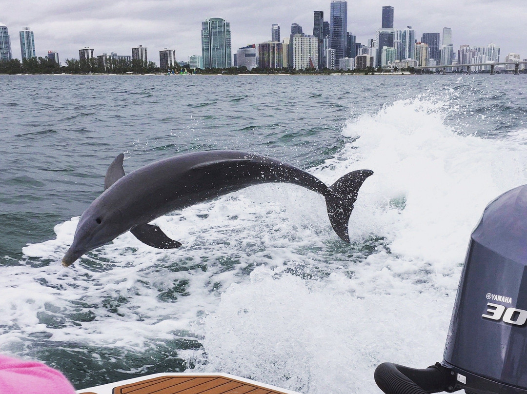 Croisiere Privee Miami-迈阿密必去景点