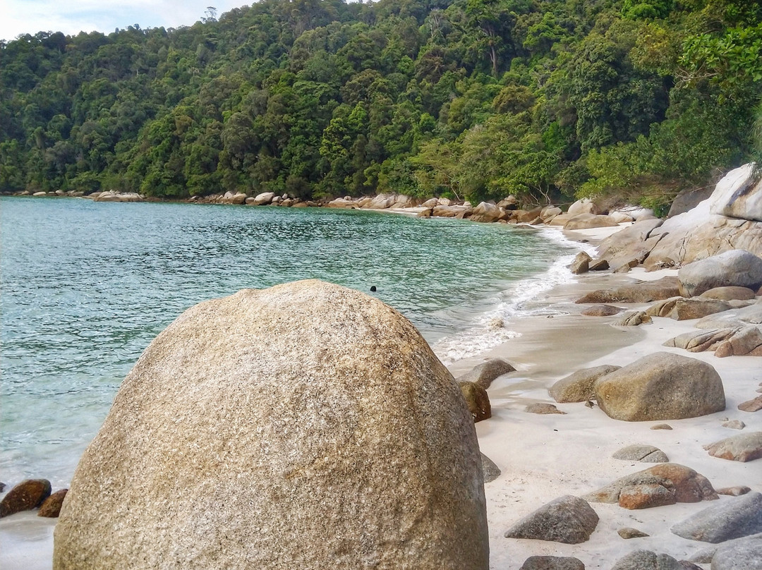 Nazri Nipah Camp主图