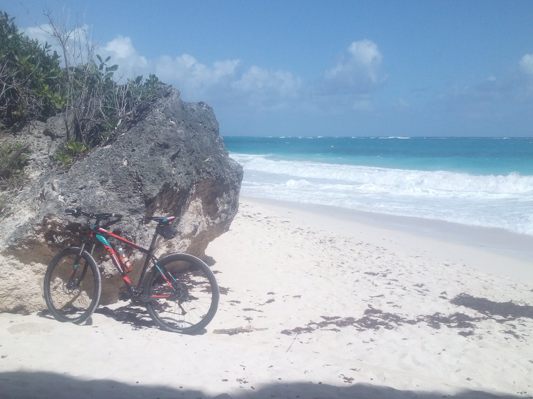Bike Caribbean-圣罗伦斯峡必去景点