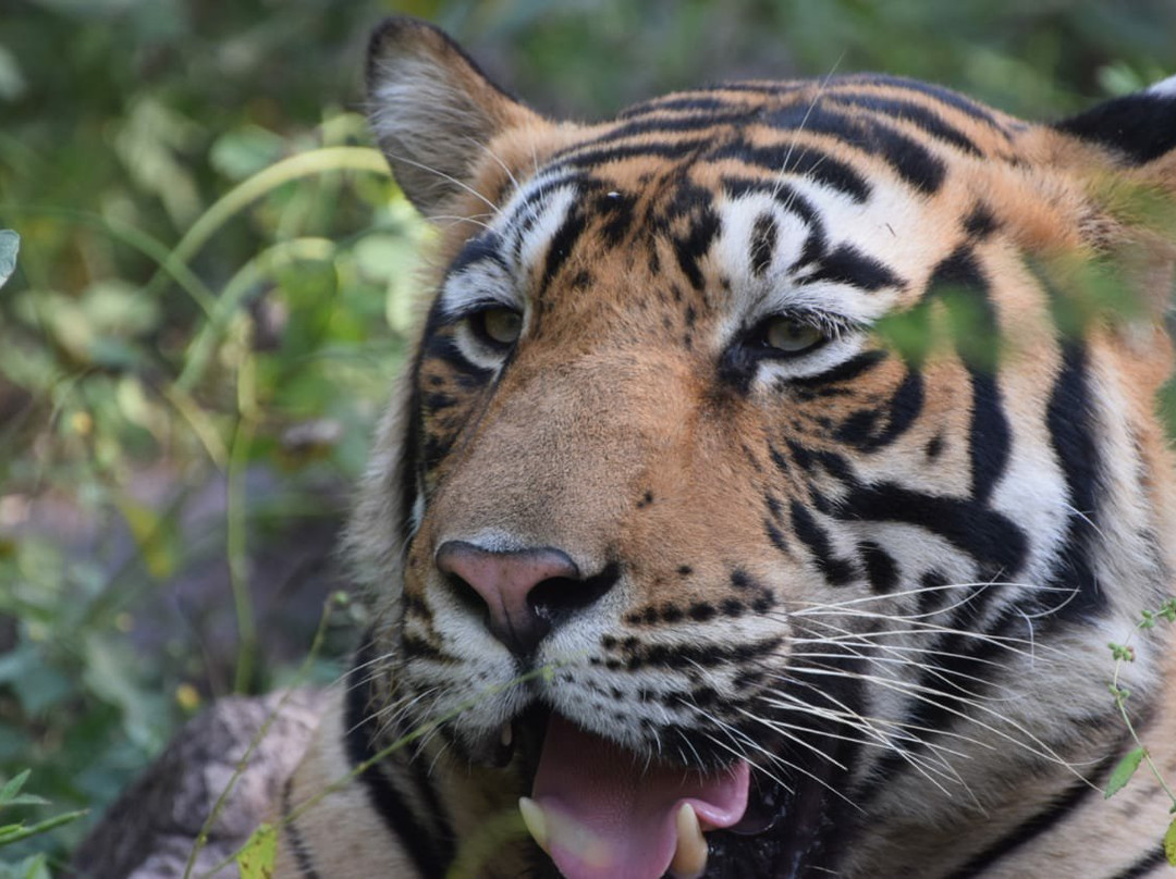 EagleRider India-古尔冈必去景点