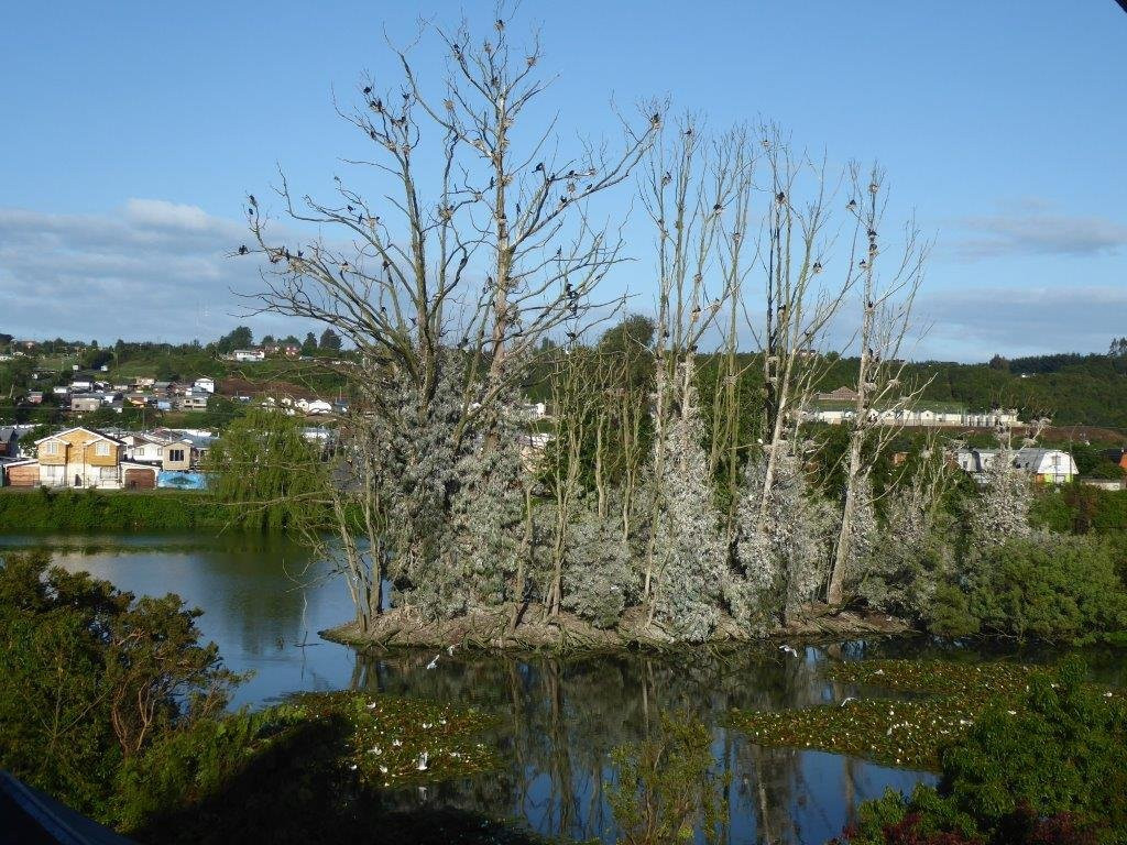 Hotel Boutique Casa Werner主图