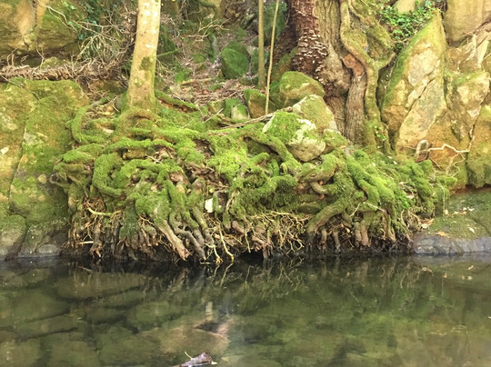 LE 1111. Galerie Céline Moine et Laurent Giros-里昂必去景点