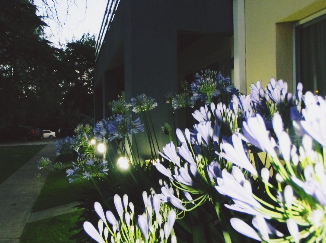 Apart Hotel Naga Huel主图