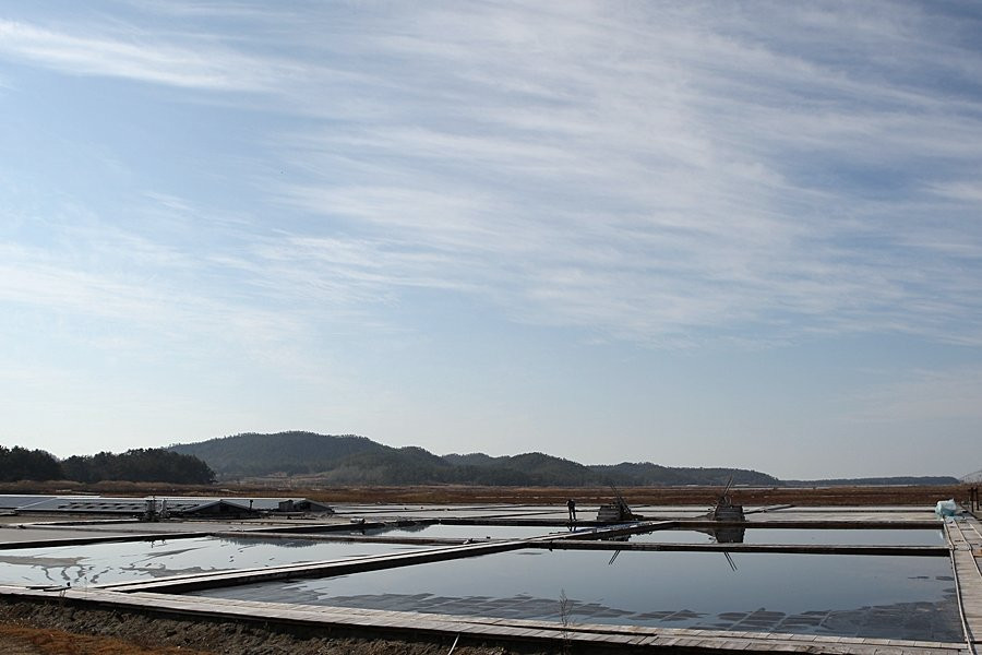 Taepyeong Salt Farm-新安郡必去景点