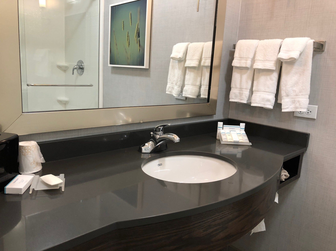 Hilton Garden Inn Bolingbrook主图