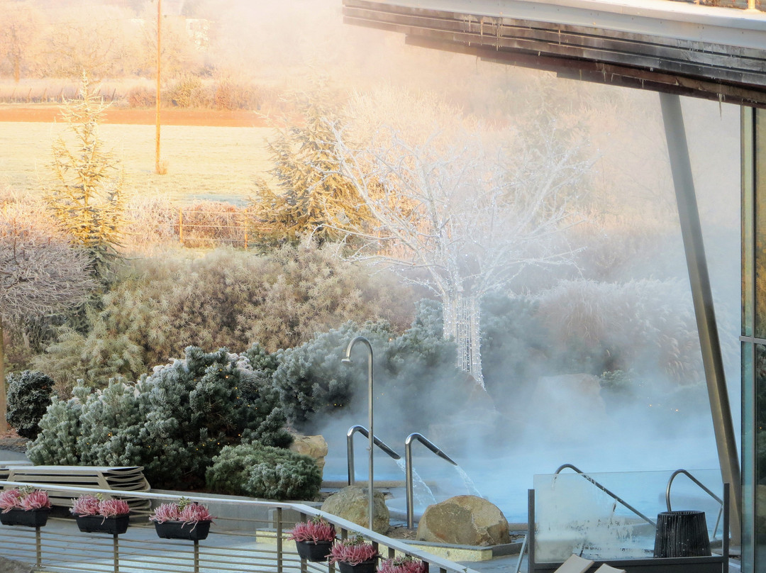 Resort Barriere Ribeauville主图