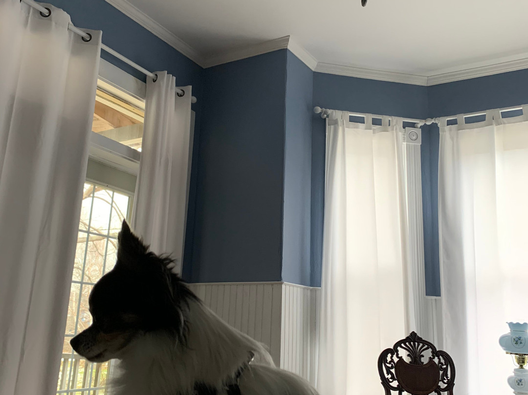 Carlisle House主图