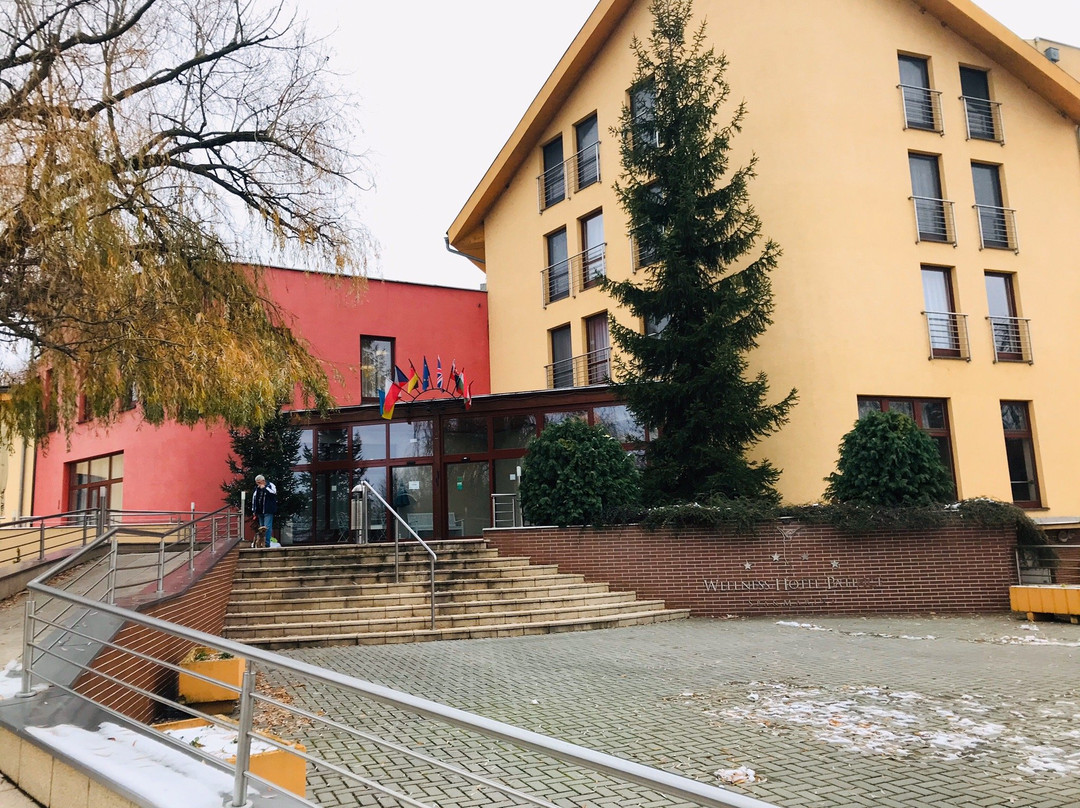 Wellness Hotel Patince主图