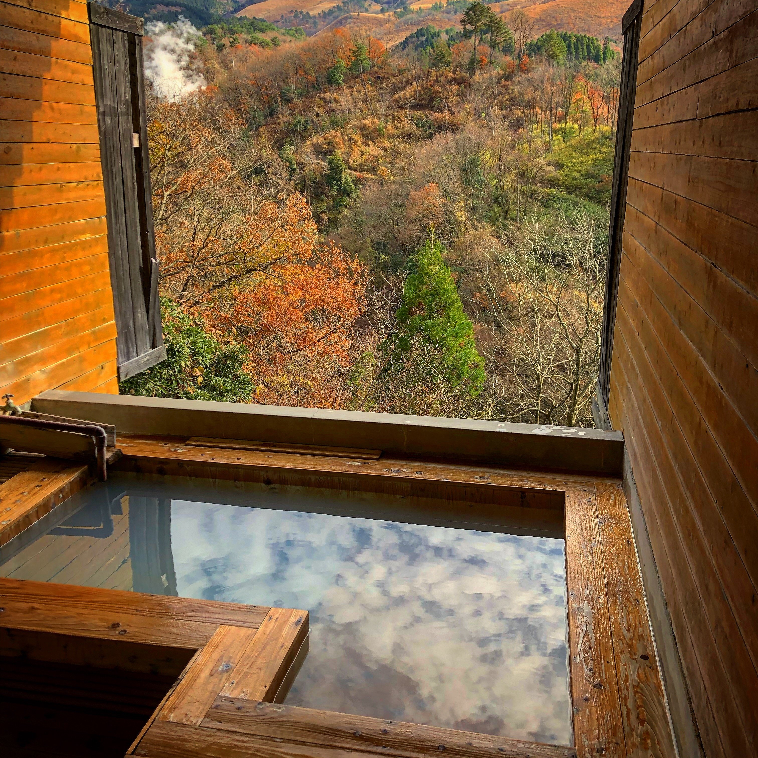 Horeinoyuyado-官方