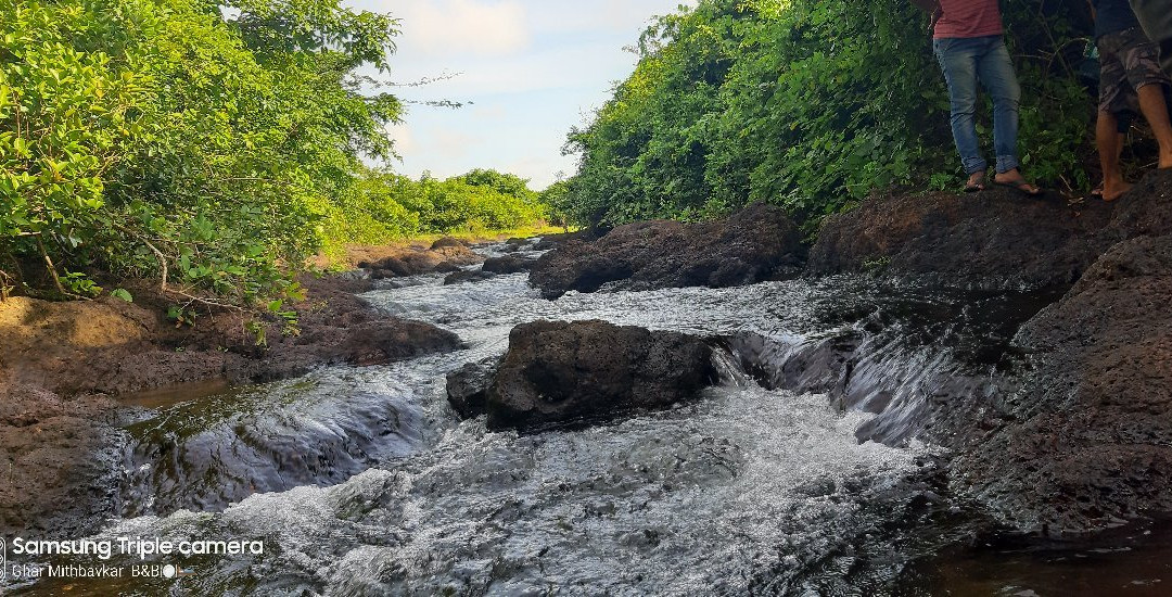 Mithbavkar's Homestay主图