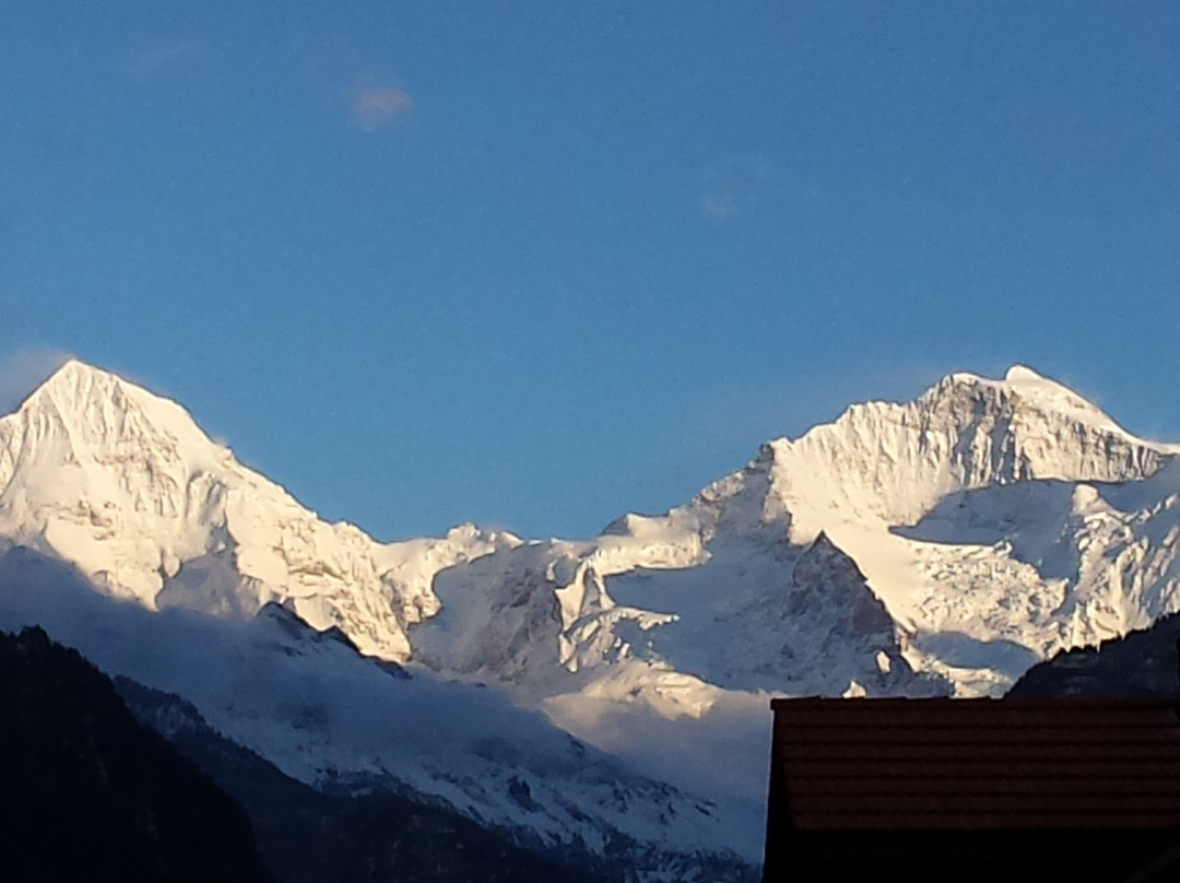 Patrick's Limousine Service Basel GmbH-巴塞尔必去景点