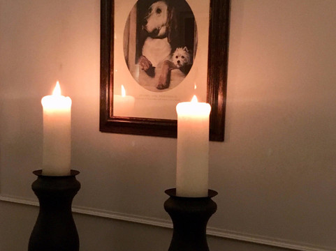 Huize Batavia-威廉斯塔德必去景点