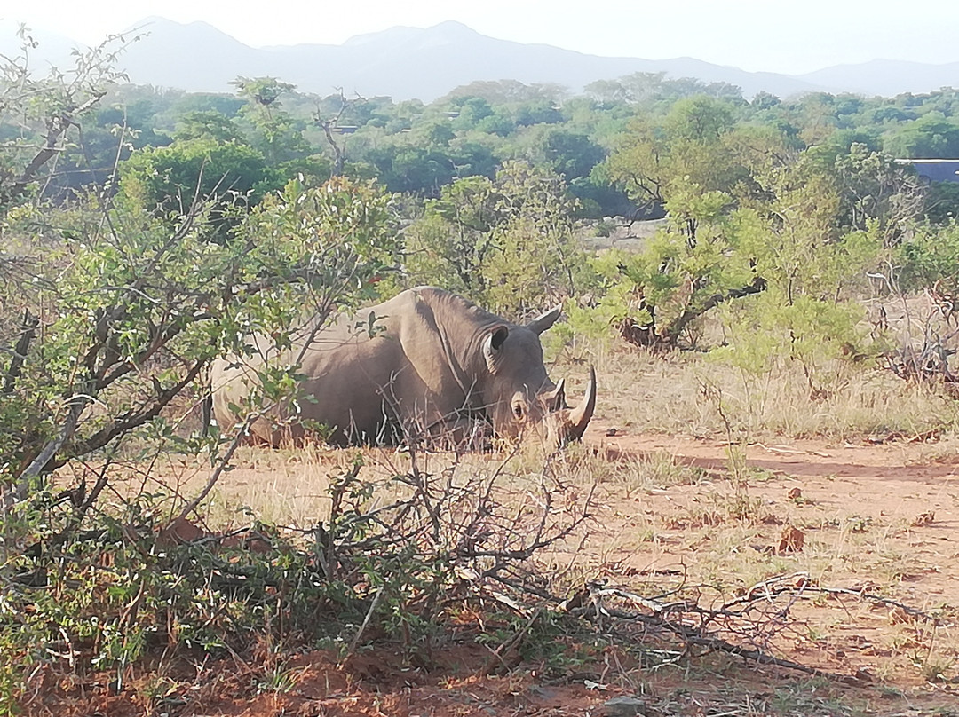 Inkosi Tours and Transfers-普马兰加省必去景点