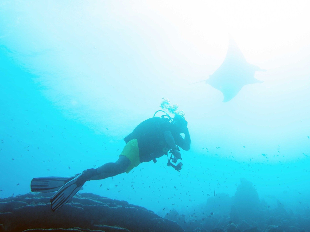 Thoddoo Diving Center景点图片