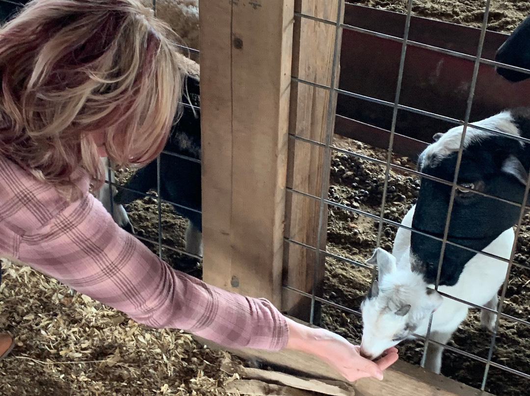 Preston Trail Farms-Gunter必去景点