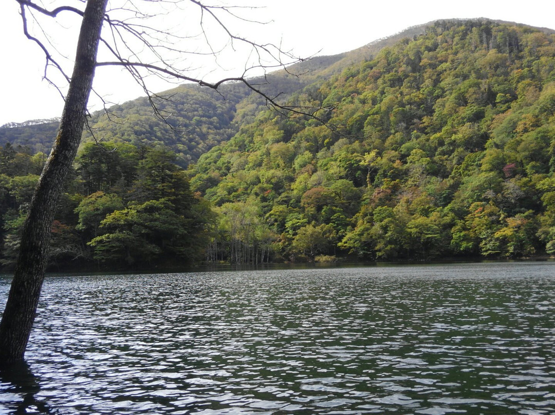 Toyoni Lake