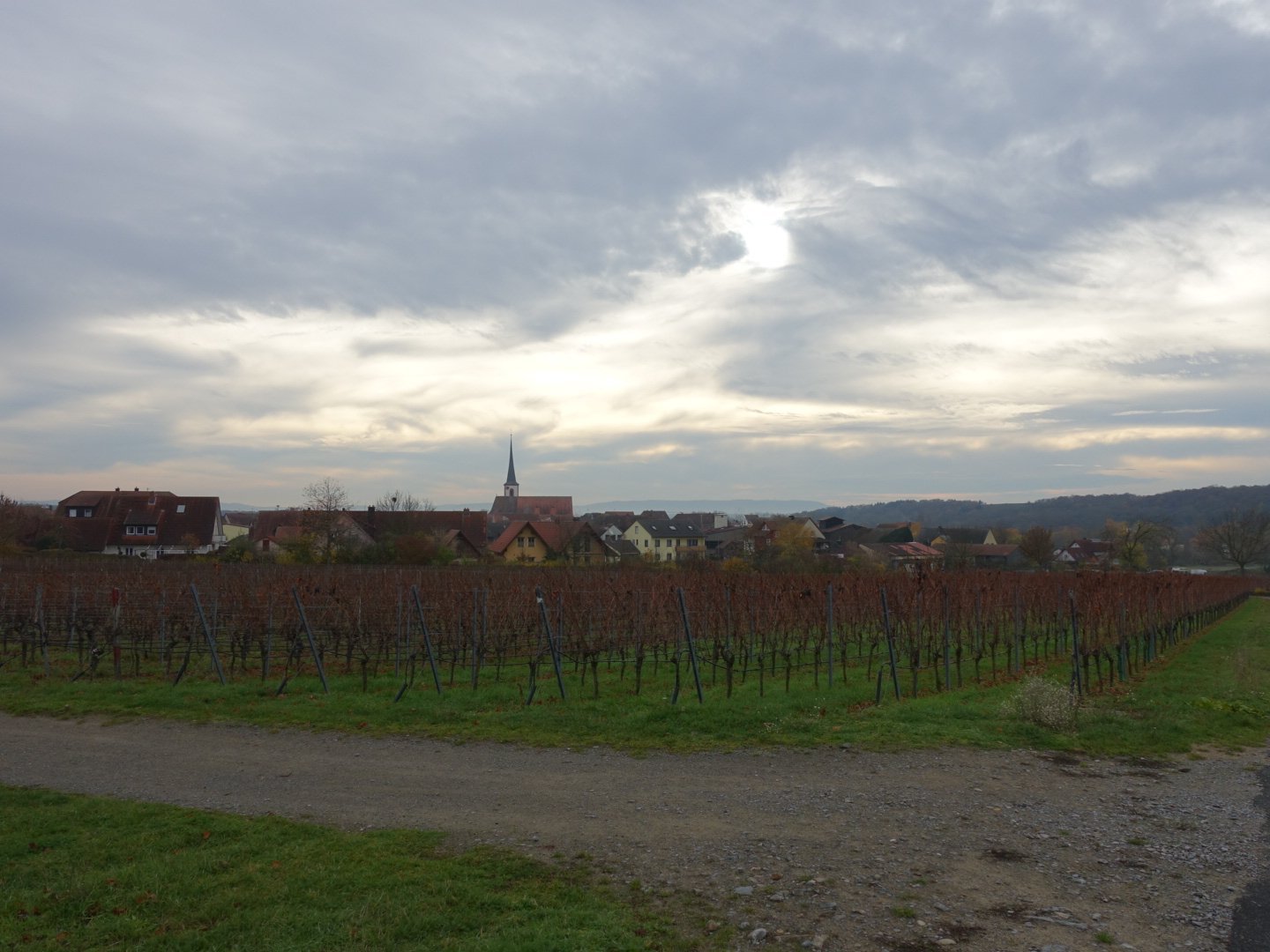 Hotel Weinblatt-官方