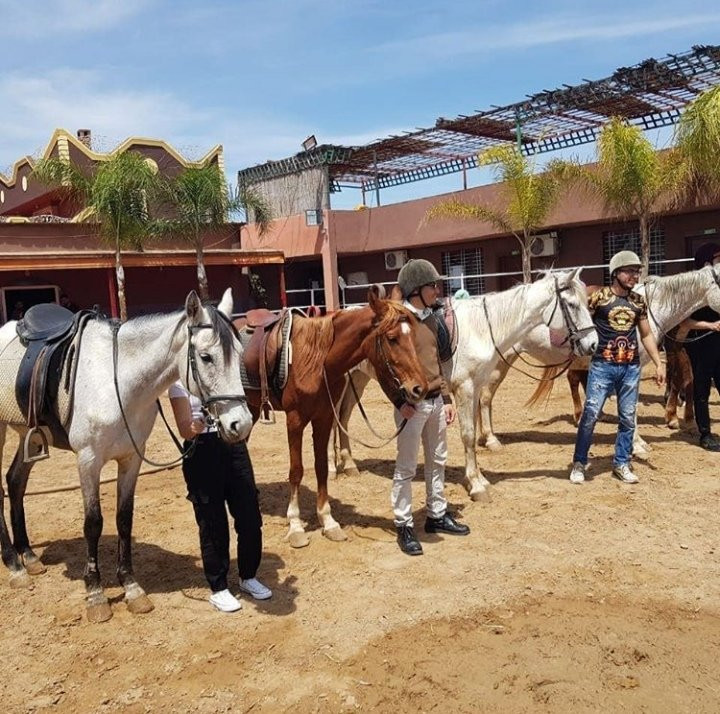 Ferme Equestre Yassmine-Madagh必去景点