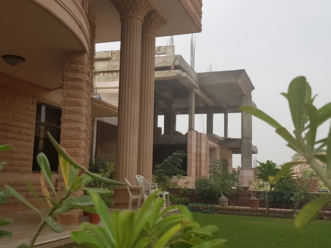 The Almond Tree主图