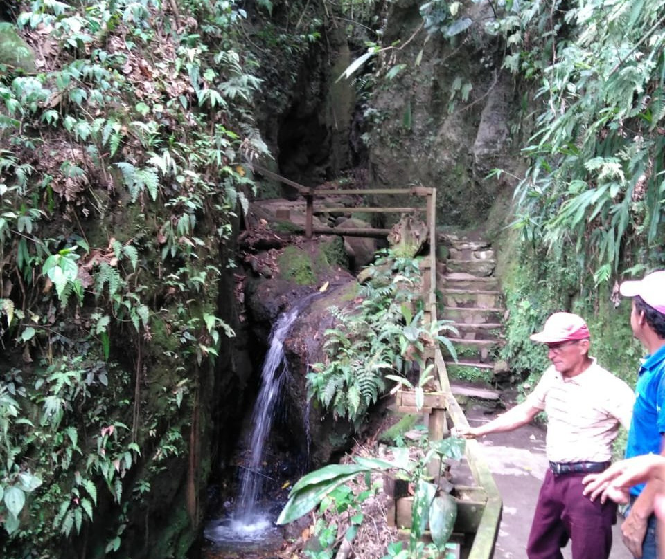 Willka Eco Lodge主图