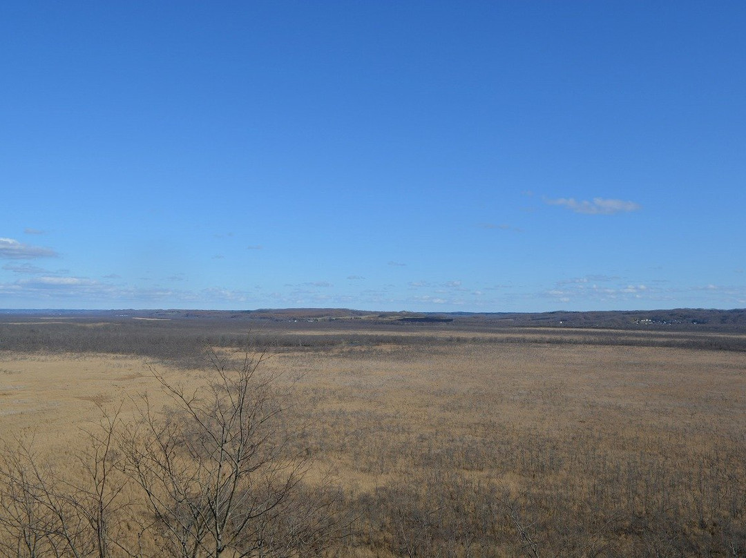 Kottaro Swamp Observatory-标茶町必去景点