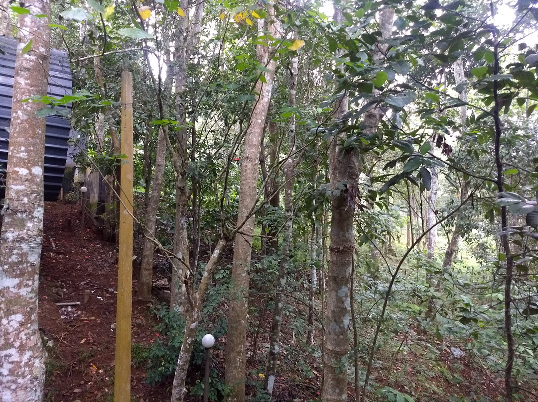 Jungle Beats Resorts主图