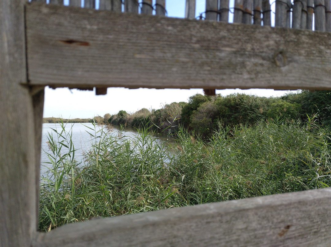 El Remolar-Filipines-比拉德坎斯必去景点