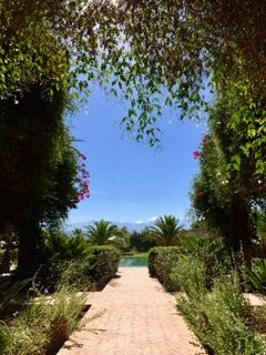 The Capaldi Hotel主图